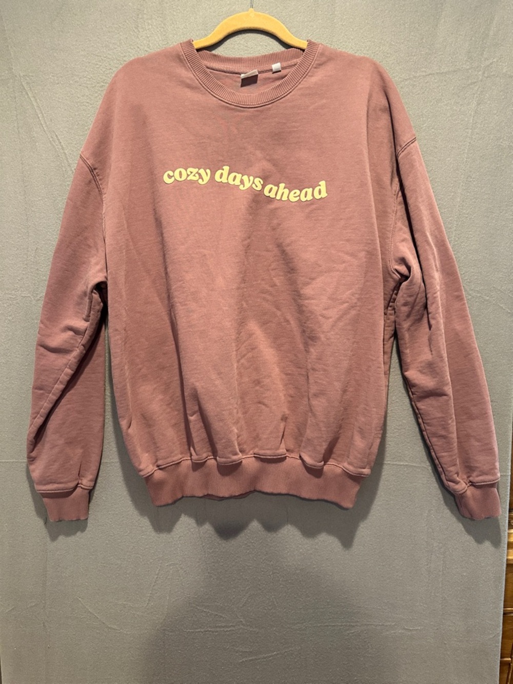 Cozy Days Ahead Dusty Rose Crewneck Sweatshirt